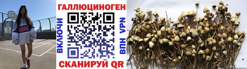 купить наркотики сайты кракен ONION это клад Липецк Псилоцибиновые грибы прущие грибы