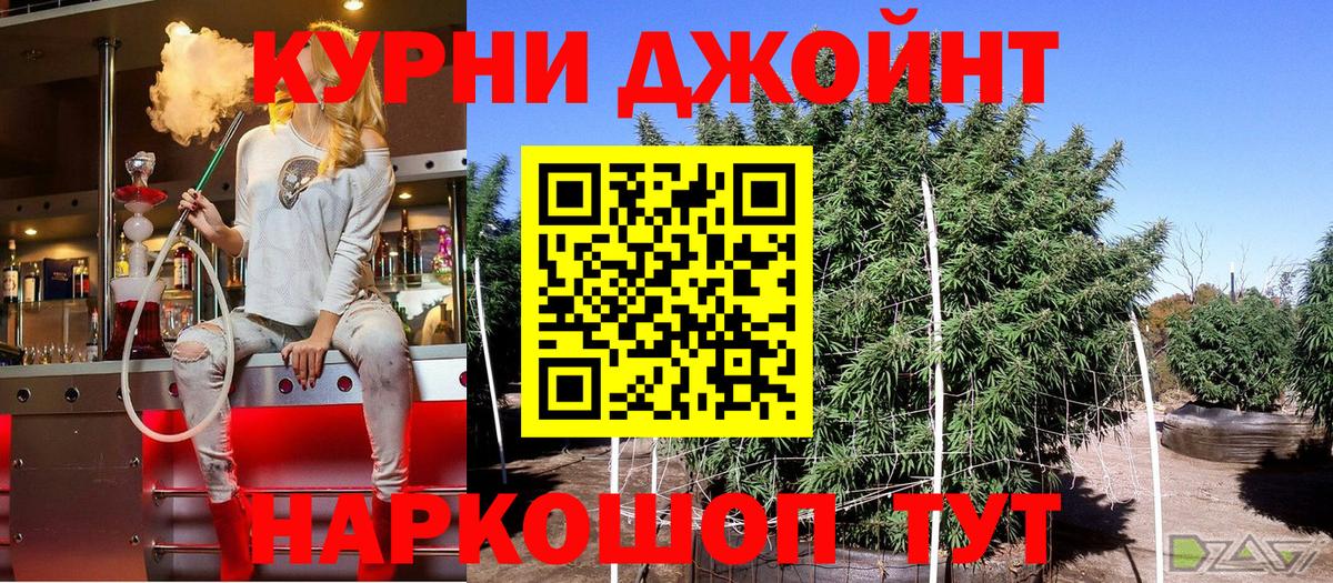 Бошки Шишки OG Kush  Липецк  Каннабис OG Kush 